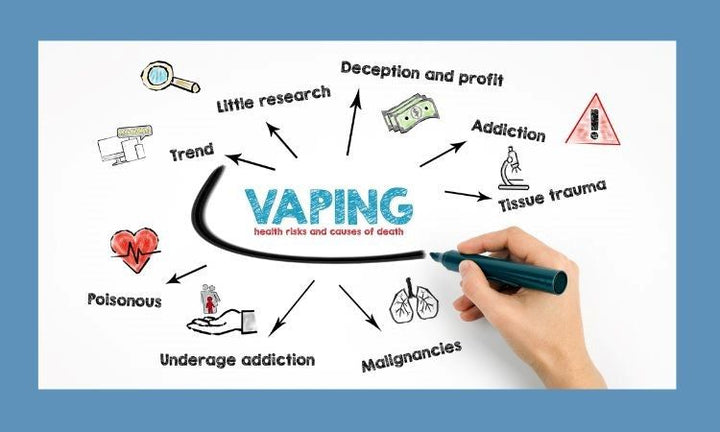 The Role of Nicotine-Free Vaping in the U.S. Market (2025 Edition)